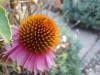 IMG-20250816-WA0002