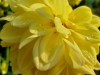 IMG-20250816-WA0007