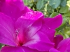 IMG-20250816-WA0008