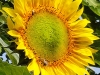 IMG-20250816-WA0010