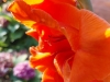 IMG-20250816-WA0012