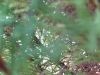 IMG-20250816-WA0013