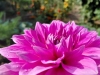 IMG-20250816-WA0014