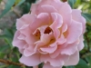 IMG-20250816-WA0015