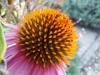 IMG-20250816-WA0018