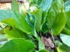 IMG-20250816-WA0019