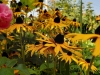 IMG-20250816-WA0021