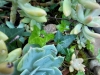 IMG-20250816-WA0022
