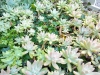 IMG-20250816-WA0023