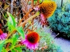 IMG-20250816-WA0026