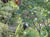 IMG-20250816-WA0027
